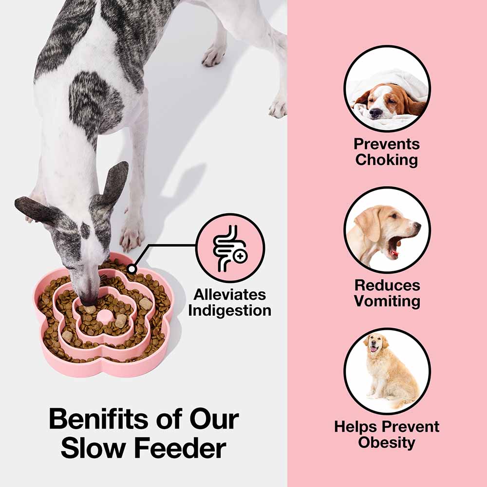 VETRESKA Flora Silicone Slow Feeder Dog Bowl - Kohepets