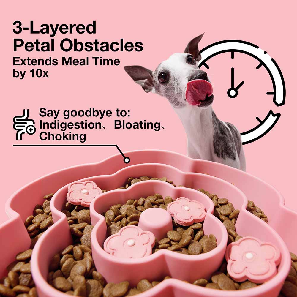 VETRESKA Flora Silicone Slow Feeder Dog Bowl - Kohepets