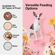 VETRESKA Flora Silicone Slow Feeder Dog Bowl - Kohepets