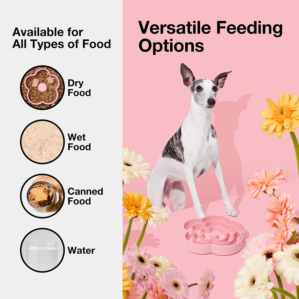 VETRESKA Flora Silicone Slow Feeder Dog Bowl - Kohepets