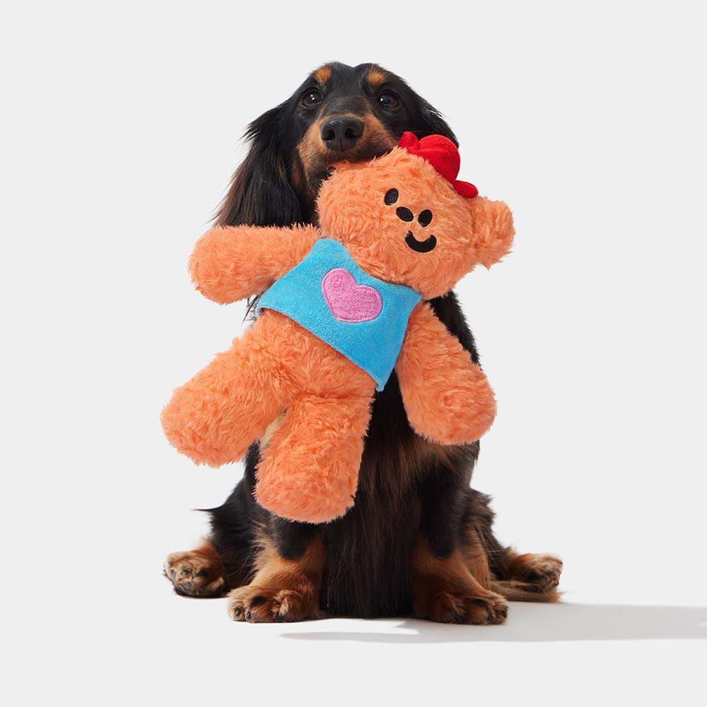 VETRESKA Furiends Squeaky Fluffy Dog Toy (Buddy Bear)