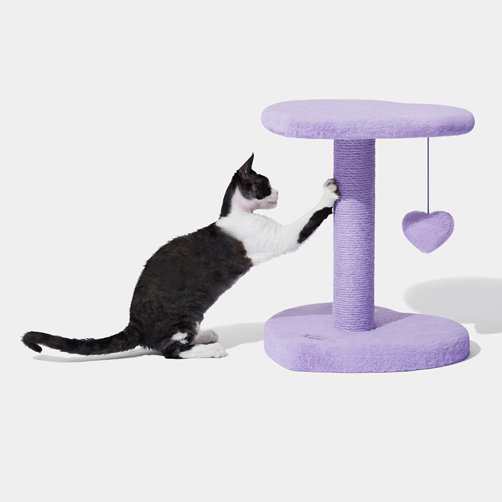 VETRESKA Heartpurrple Cat Scratcher Post (2 Platforms) - Kohepets
