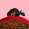 VETRESKA Juicy Cherry Bowl, Mat & Spoon Set For Cats & Dogs