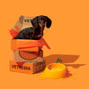 VETRESKA Juicy Tangerine Bowl, Mat & Spoon Set For Cats & Dogs