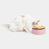 VETRESKA Like A Grapefruit Ceramic Bowl For Cats & Dogs