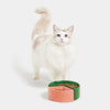 VETRESKA Like A Watermelon Ceramic Bowl For Cats & Dogs