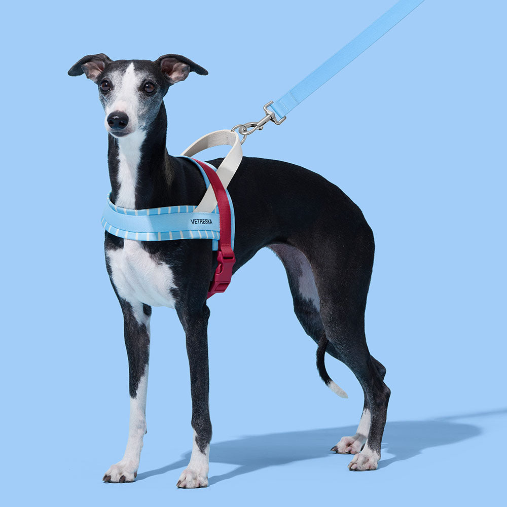 VETRESKA Mist And Merlot Dog Harness & Leash Set - Kohepets