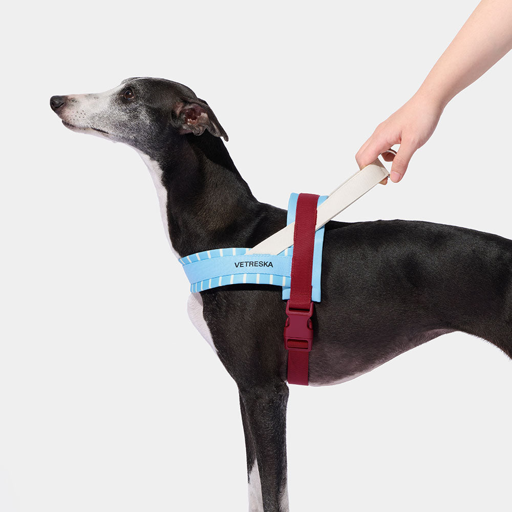 VETRESKA Mist And Merlot Dog Harness & Leash Set - Kohepets