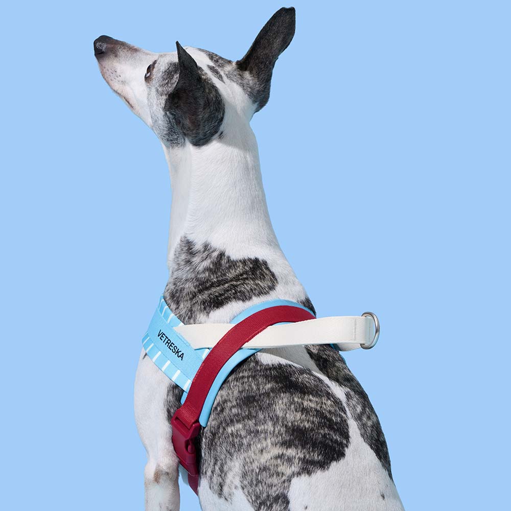 VETRESKA Mist And Merlot Dog Harness & Leash Set - Kohepets