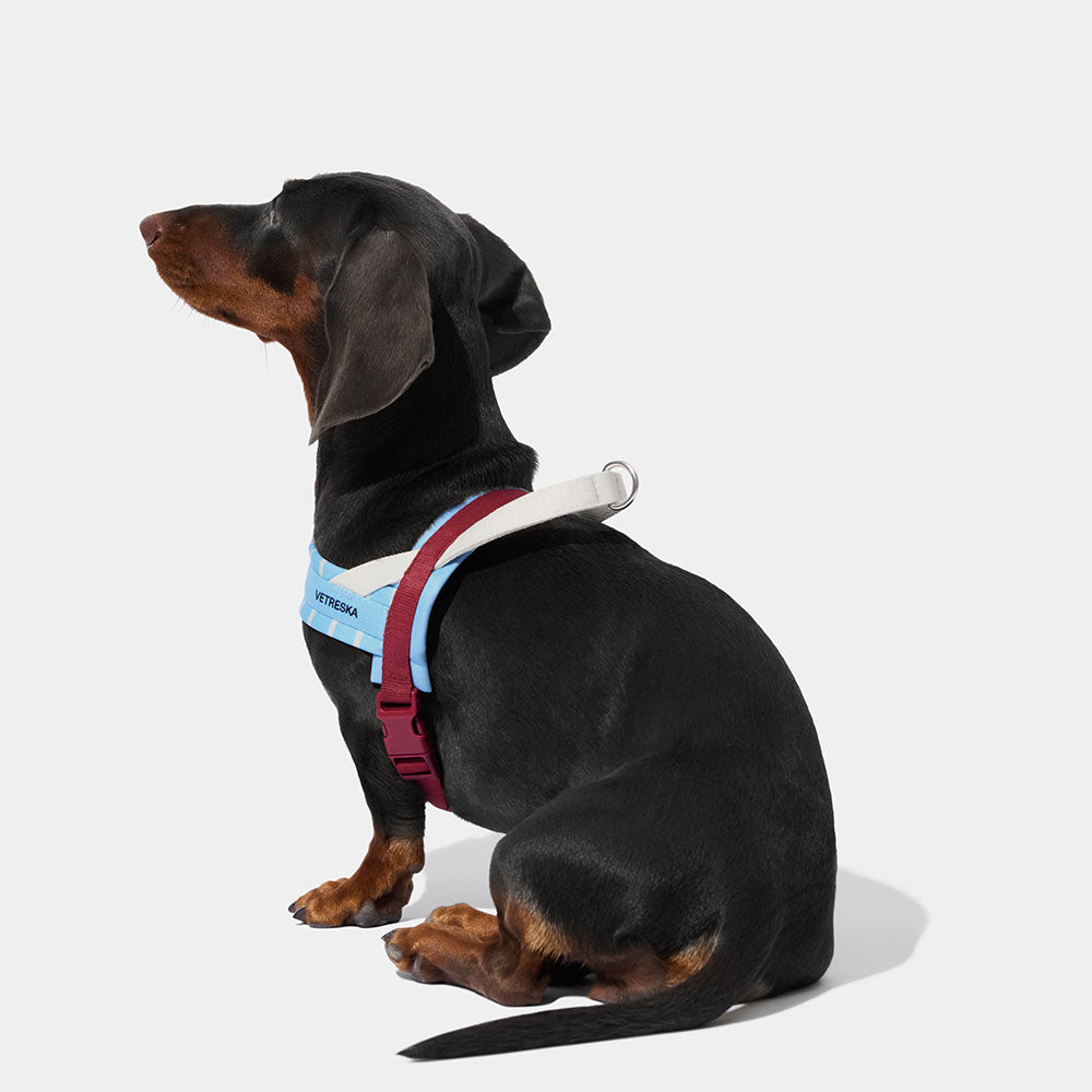 VETRESKA Mist And Merlot Dog Harness & Leash Set - Kohepets