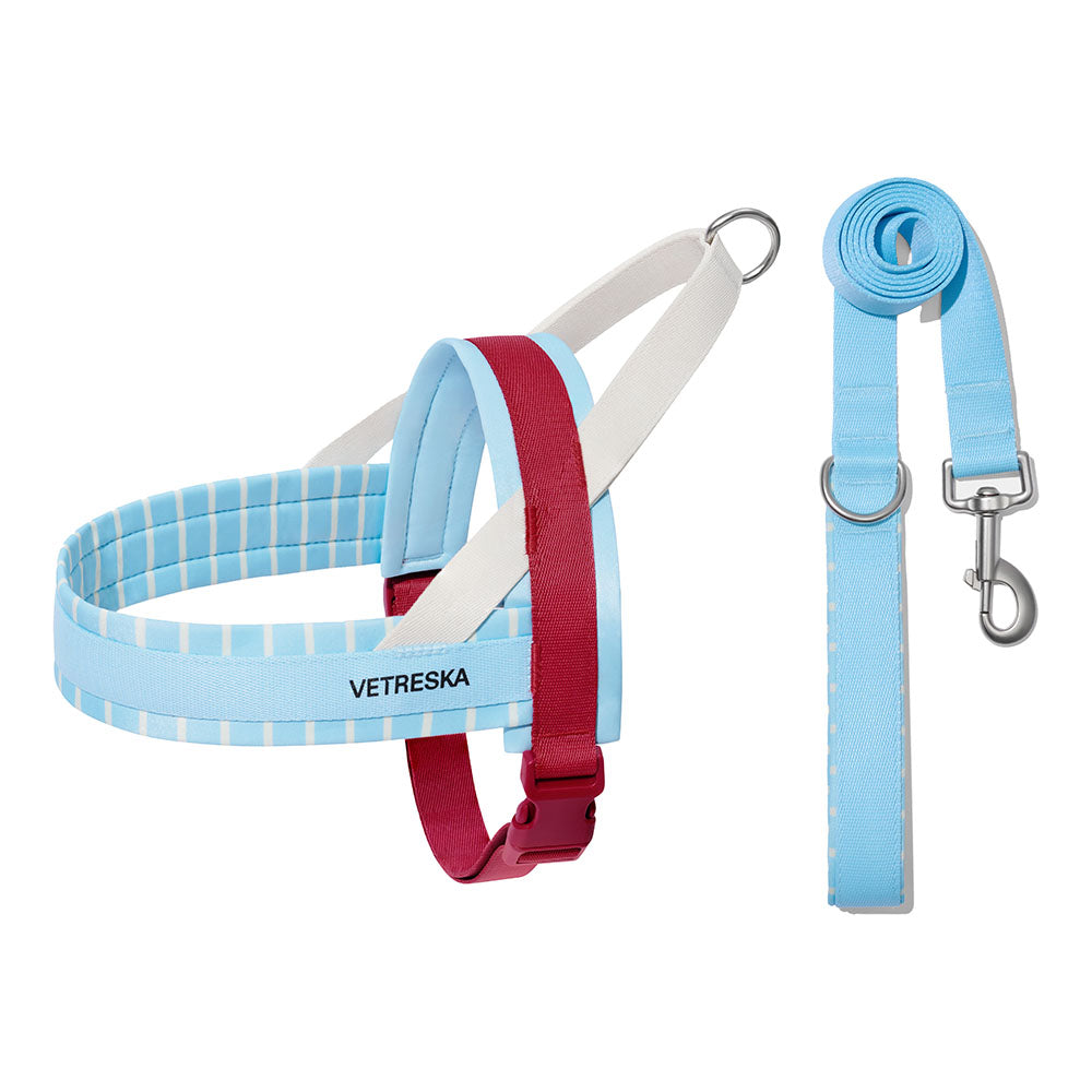 VETRESKA Mist And Merlot Dog Harness & Leash Set - Kohepets