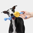VETRESKA Playful Charm Daisy Knot Rope Dog Toy - Kohepets