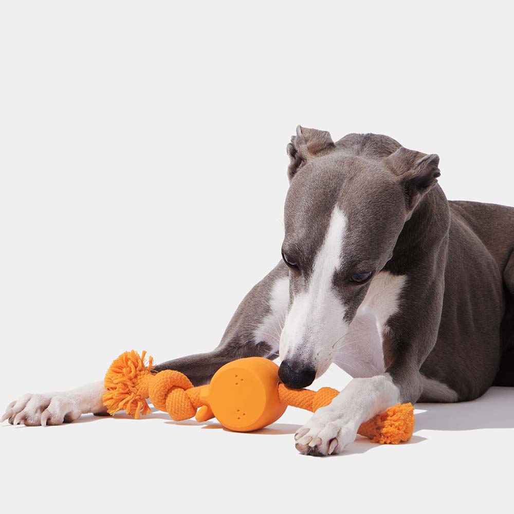 VETRESKA Playful Charm Tangerine Knot Rope Dog Toy