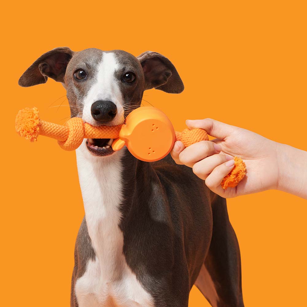VETRESKA Playful Charm Tangerine Knot Rope Dog Toy