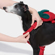 VETRESKA Strawberry Backpack Harness & Leash Set For Cats & Dogs - Kohepets