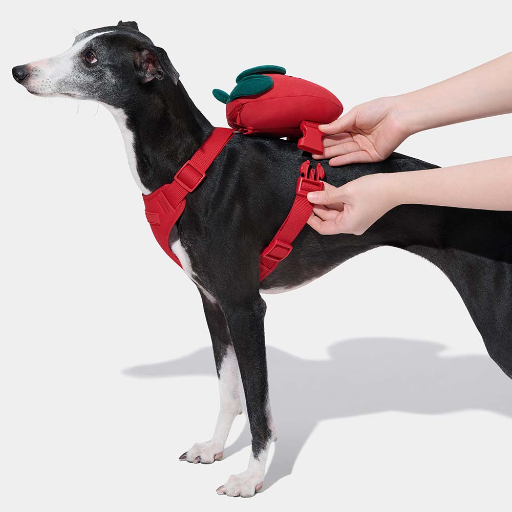 VETRESKA Strawberry Backpack Harness & Leash Set For Cats & Dogs - Kohepets