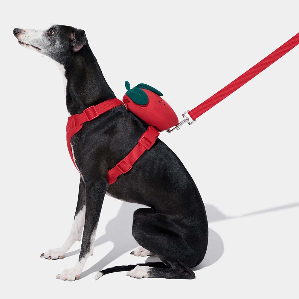 VETRESKA Strawberry Backpack Harness & Leash Set For Cats & Dogs - Kohepets