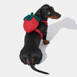 VETRESKA Strawberry Backpack Harness & Leash Set For Cats & Dogs - Kohepets