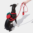 VETRESKA Strawberry Backpack Harness & Leash Set For Cats & Dogs - Kohepets