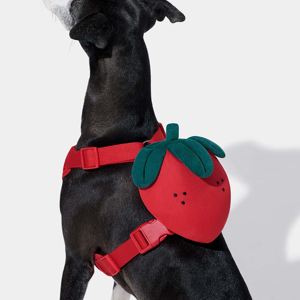 VETRESKA Strawberry Backpack Harness & Leash Set For Cats & Dogs - Kohepets