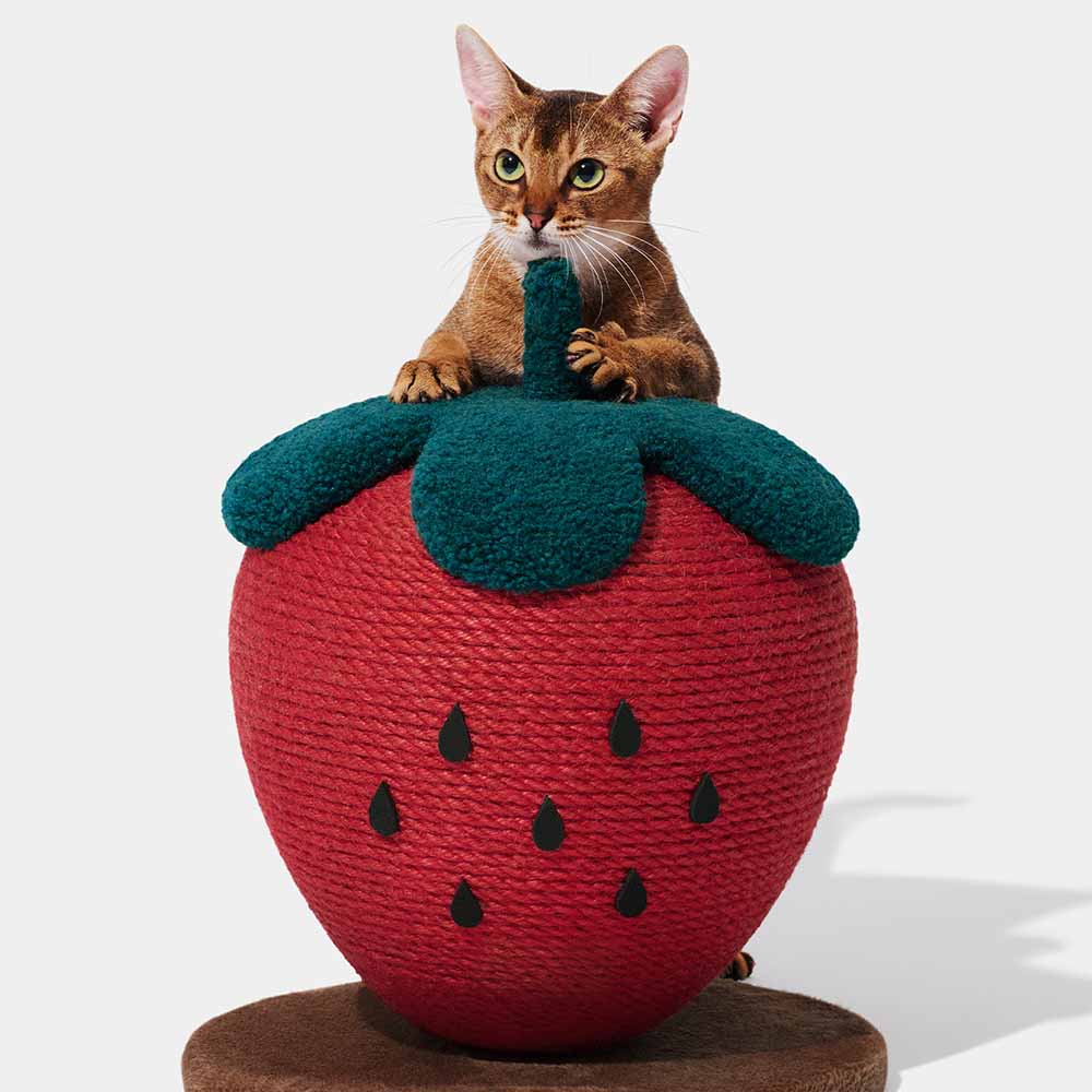 VETRESKA Strawberry Cat Scratching Ball - Kohepets