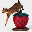 VETRESKA Strawberry Cat Scratching Ball - Kohepets
