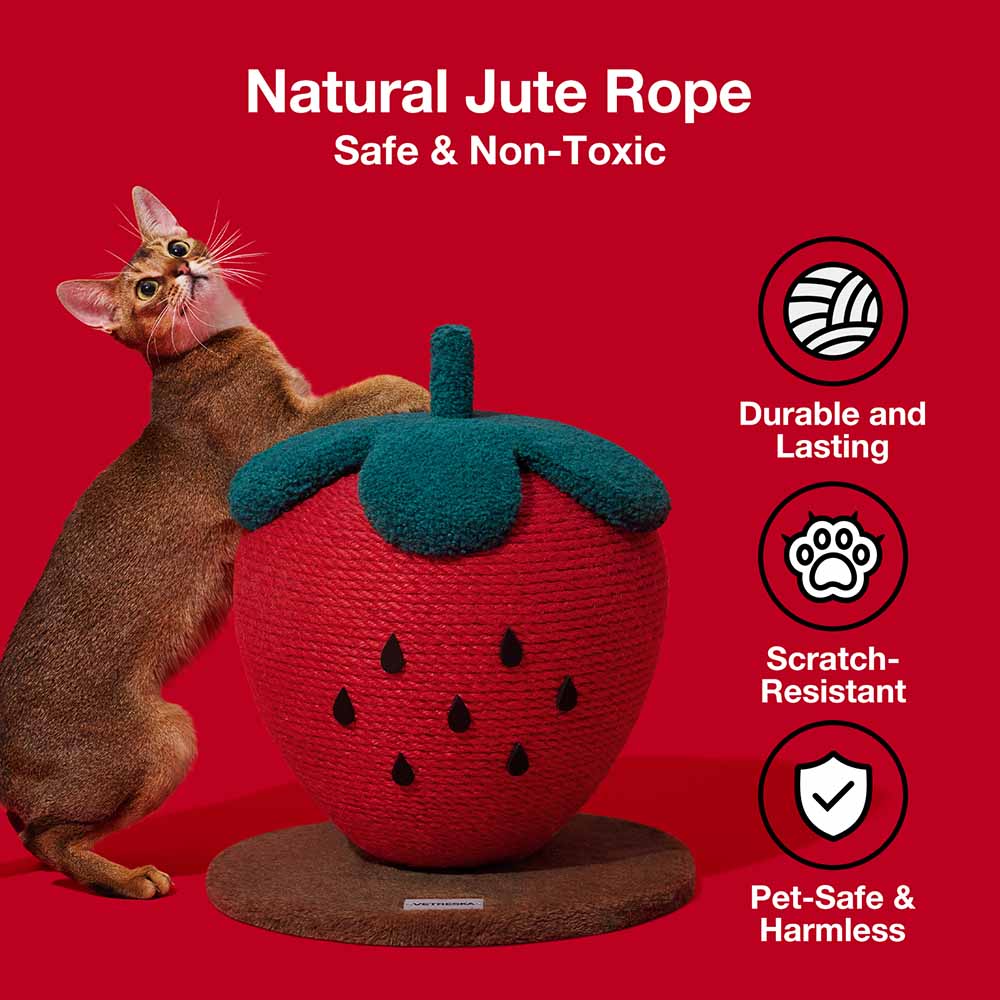 VETRESKA Strawberry Cat Scratching Ball - Kohepets