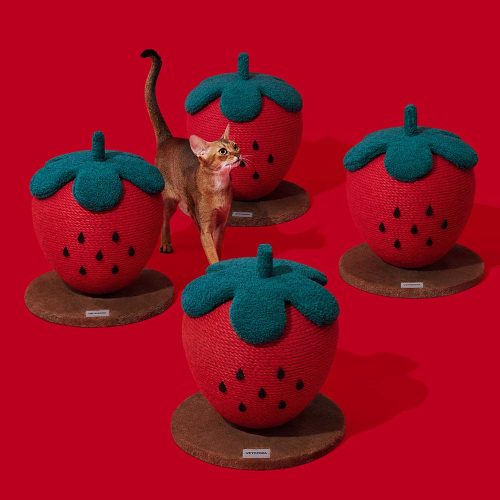 VETRESKA Strawberry Cat Scratching Ball - Kohepets