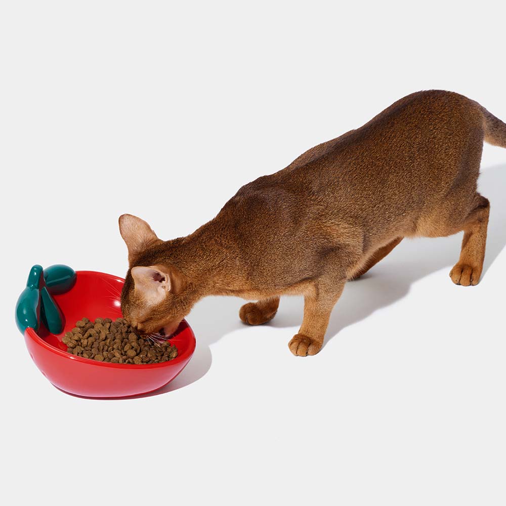 VETRESKA Strawberry Ceramic Bowl For Cats & Dogs - Kohepets