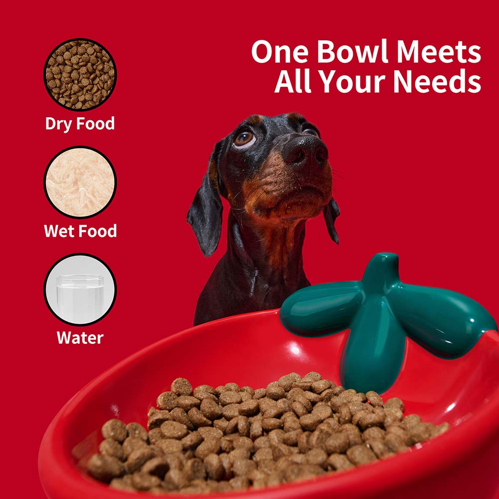 VETRESKA Strawberry Ceramic Bowl For Cats & Dogs - Kohepets