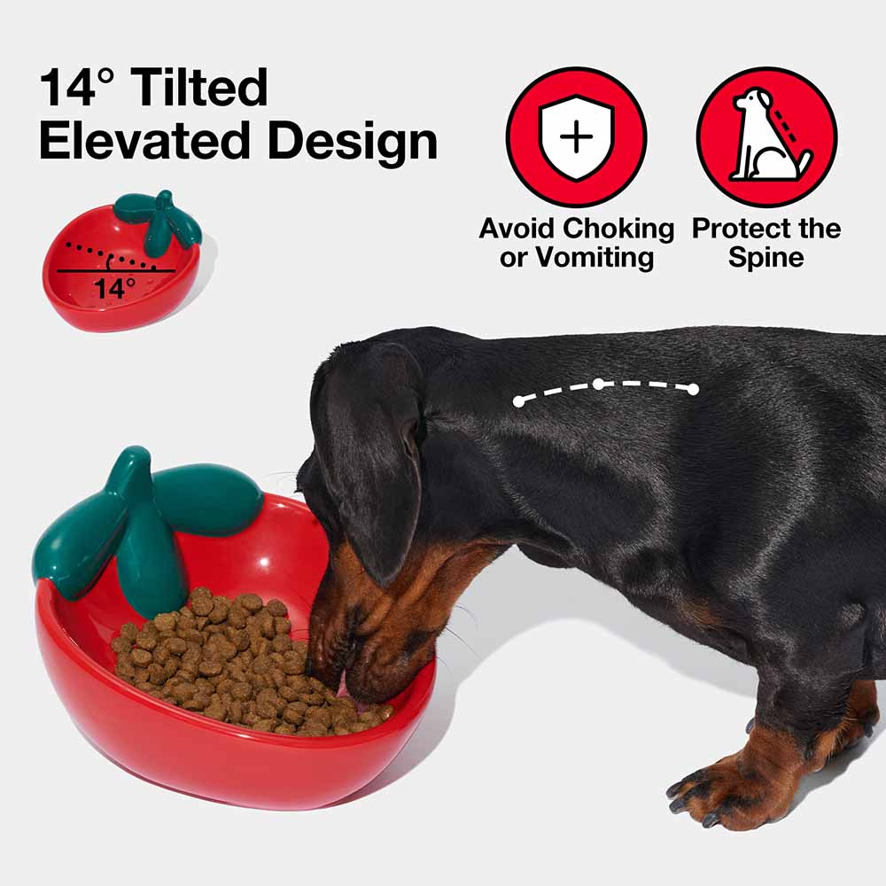 VETRESKA Strawberry Ceramic Bowl For Cats & Dogs - Kohepets