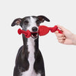 VETRESKA Playful Charm Strawberry Knot Rope Dog Toy