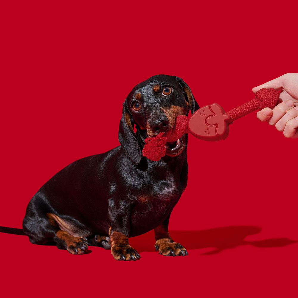 VETRESKA Playful Charm Strawberry Knot Rope Dog Toy