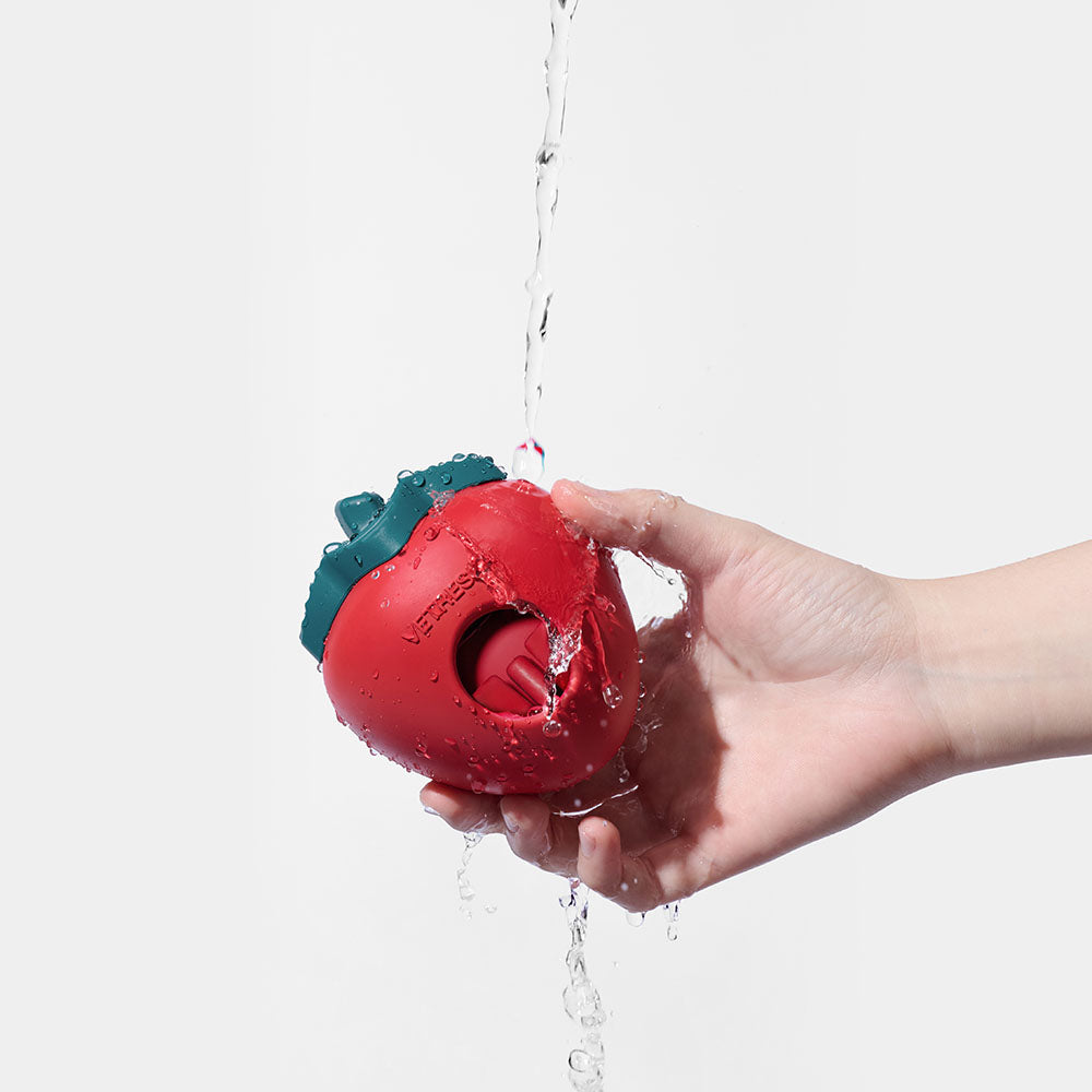 VETRESKA Strawberry Treat Dispensing Interactive Dog Toy