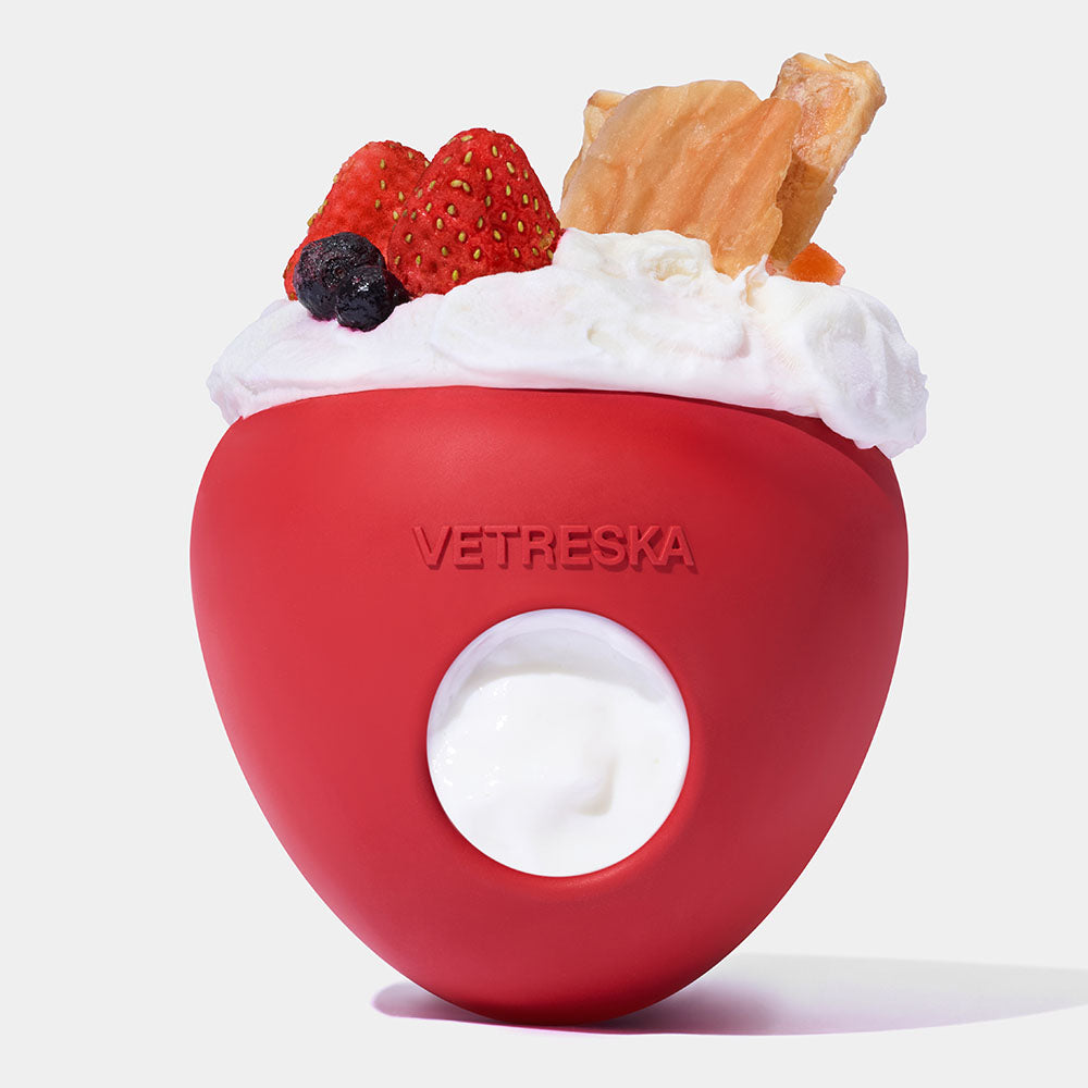 VETRESKA Strawberry Treat Dispensing Interactive Dog Toy
