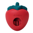 VETRESKA Strawberry Treat Dispensing Interactive Dog Toy