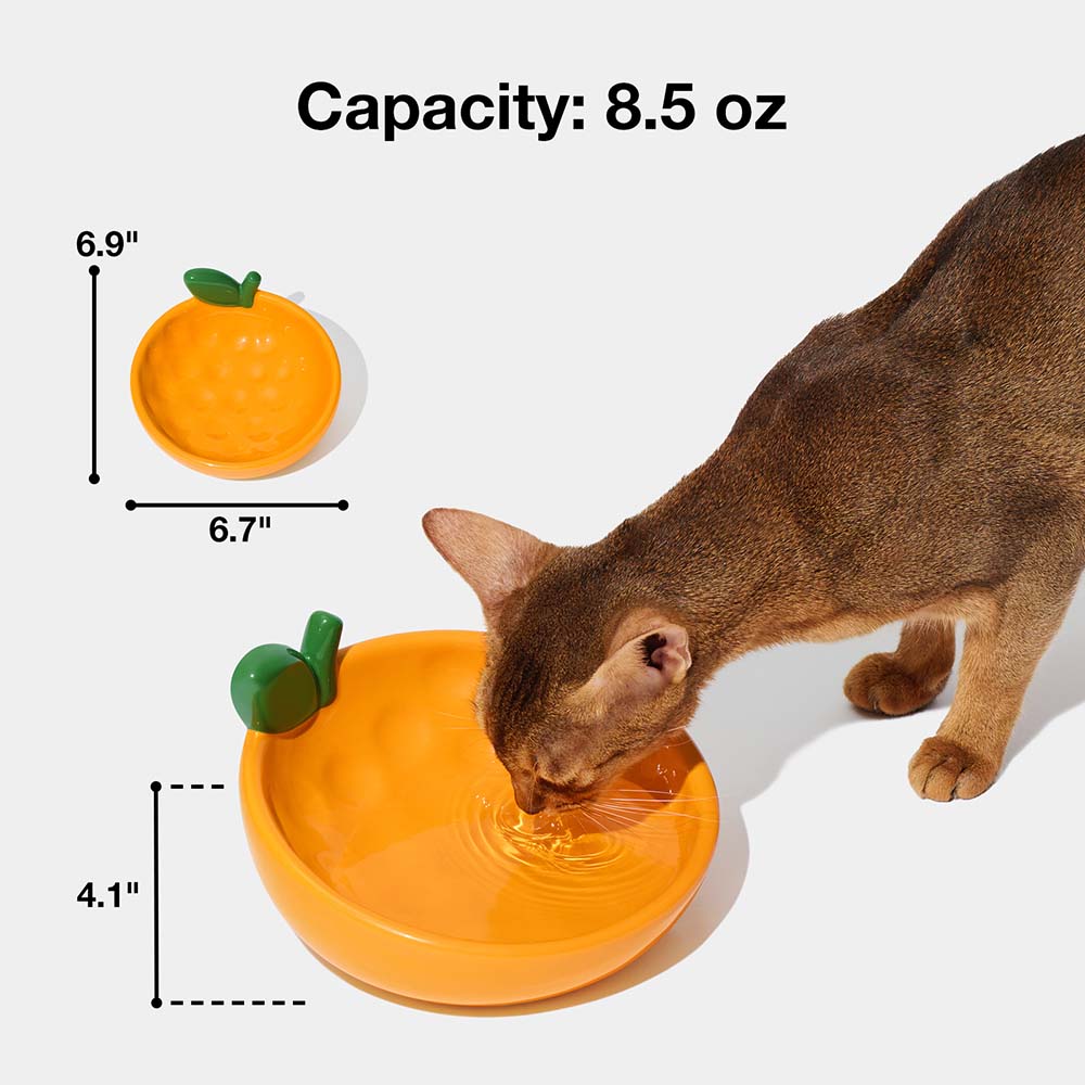 VETRESKA Tangerine Ceramic Bowl For Cats & Dogs - Kohepets