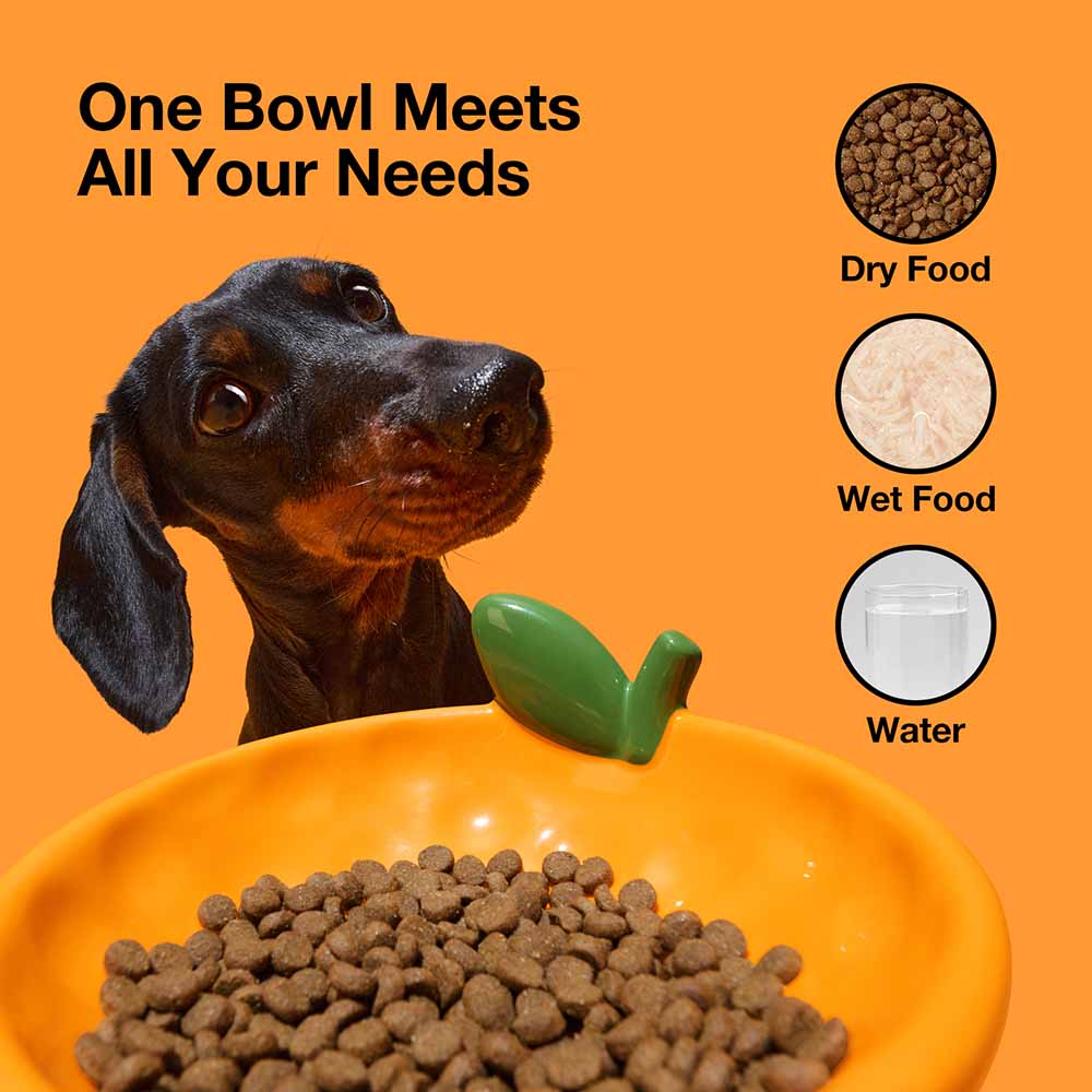 VETRESKA Tangerine Ceramic Bowl For Cats & Dogs - Kohepets