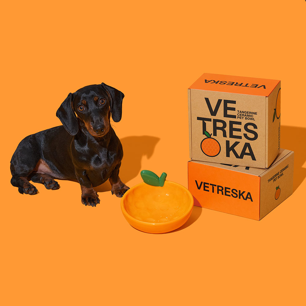 VETRESKA Tangerine Ceramic Bowl For Cats & Dogs - Kohepets