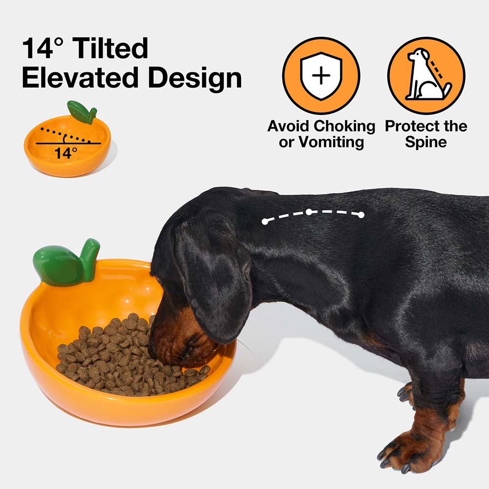 VETRESKA Tangerine Ceramic Bowl For Cats & Dogs - Kohepets