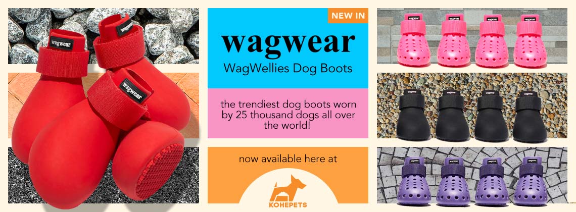 Wagwear Dog Accessories | Kohepets