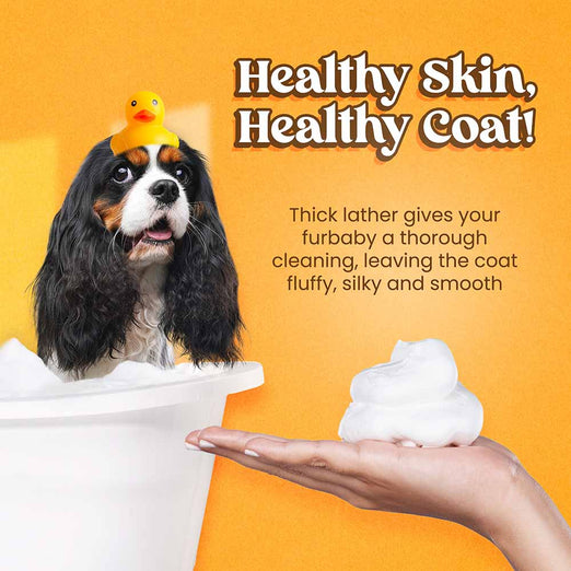 30% OFF: Wahl Oatmeal Formula Dog Shampoo 700ml