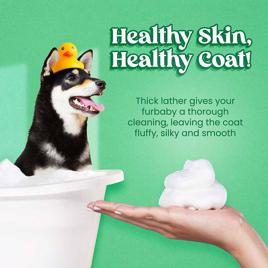 30% OFF: Wahl Odor Control Purifying Formula Dog Shampoo 700ml