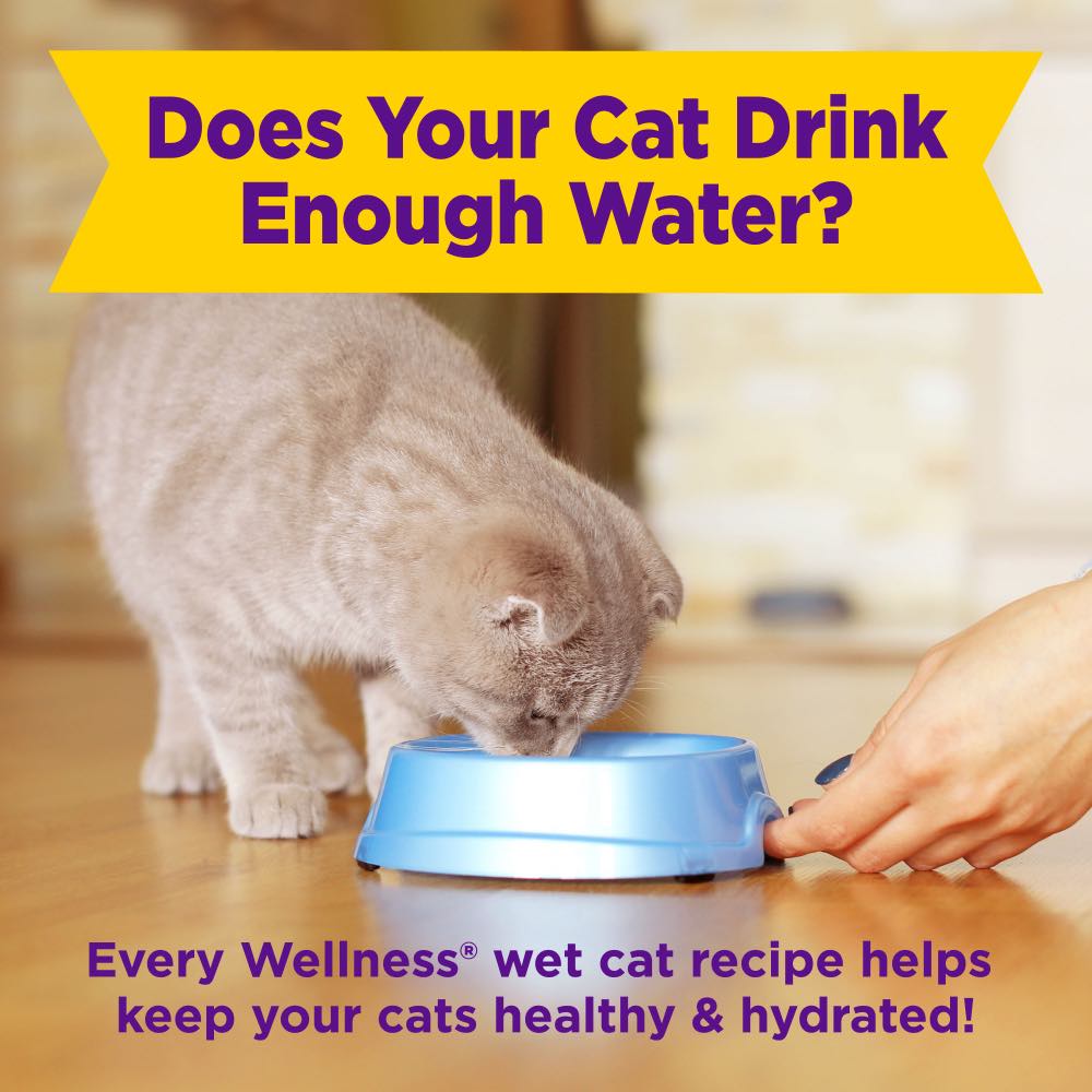 $1 OFF: Wellness Appetizing Entrees Flaked Tuna, Mackerel & Shrimp Adult Pouch Cat Food 1.4oz