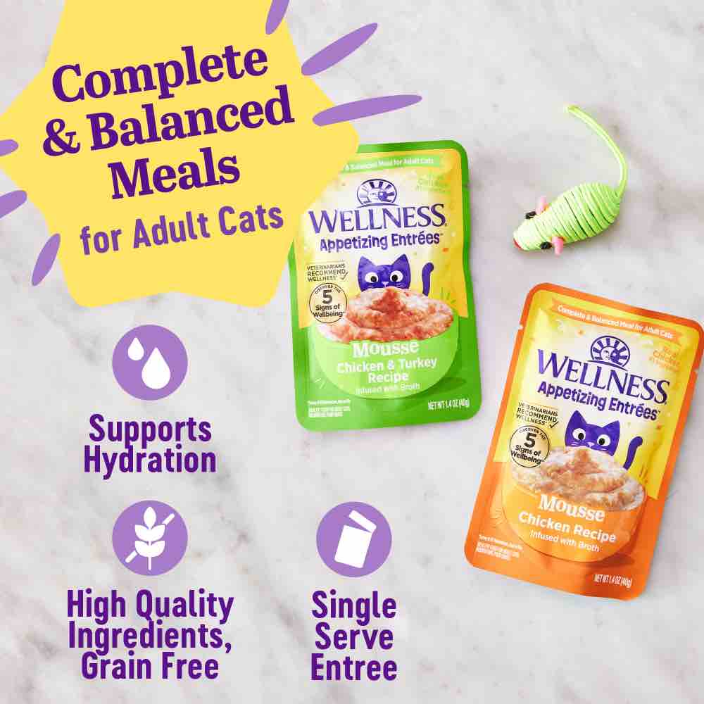 Wellness Appetizing Entrees Mousse Chicken Adult Pouch Cat Food 1.4oz