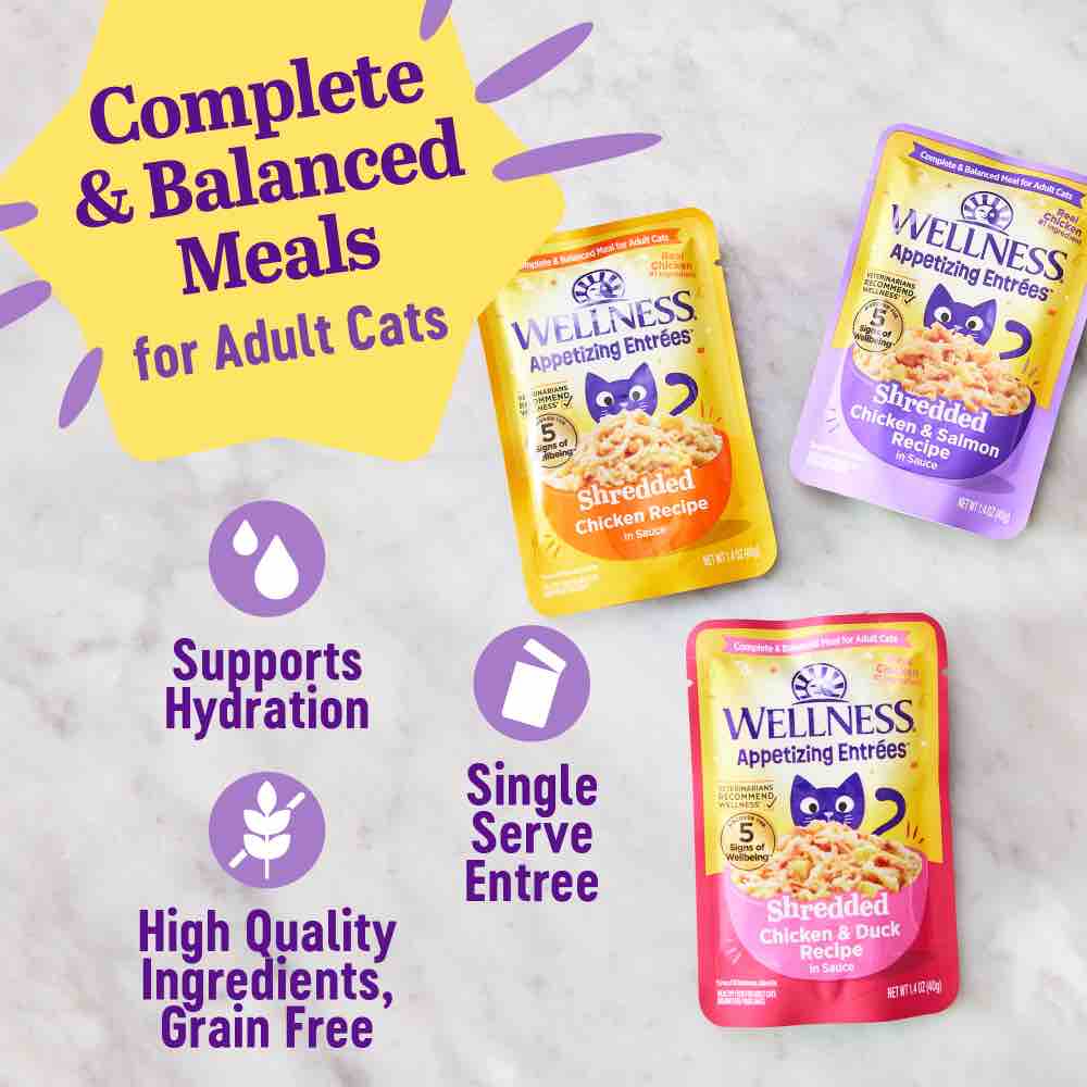 Wellness Appetizing Entrees Shredded Chicken & Salmon Adult Pouch Cat Food 1.4oz