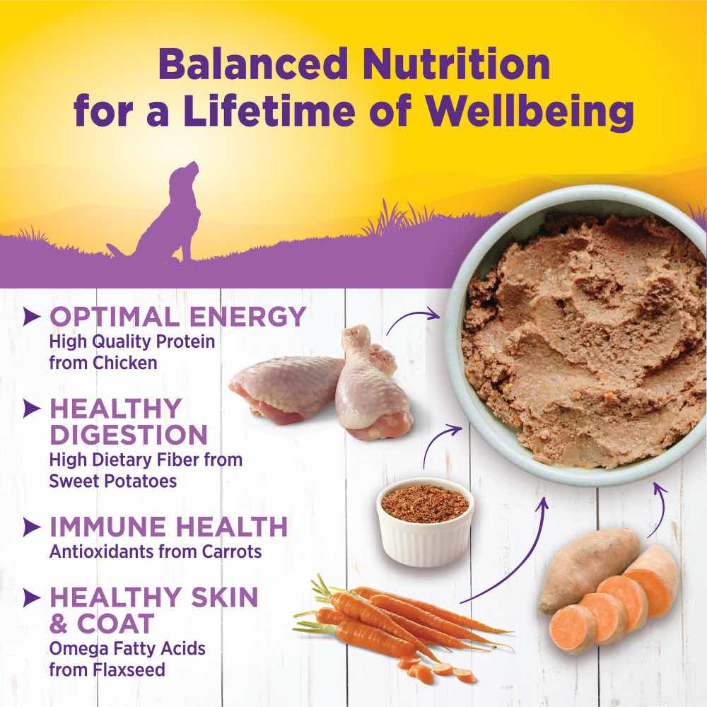 Wellness Complete Health Age Advantage Senior Canned Dog Food 354g