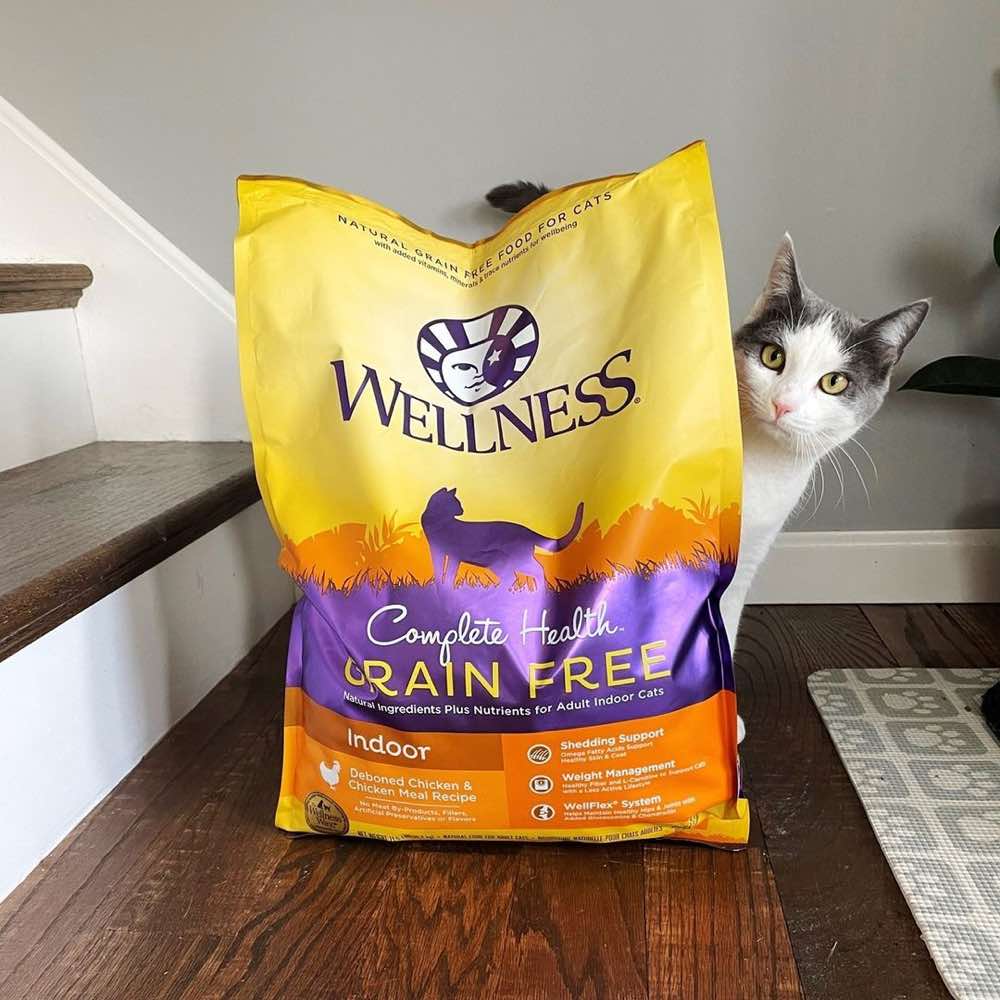 Wellness Complete Health Dry Cat Food — Wholesome, Nutritious Recipes!