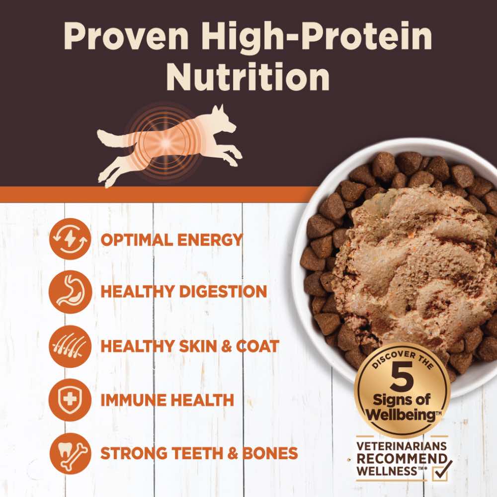 Wellness CORE Digestive Health Chicken Grain-Free Canned Dog Food 13oz ...