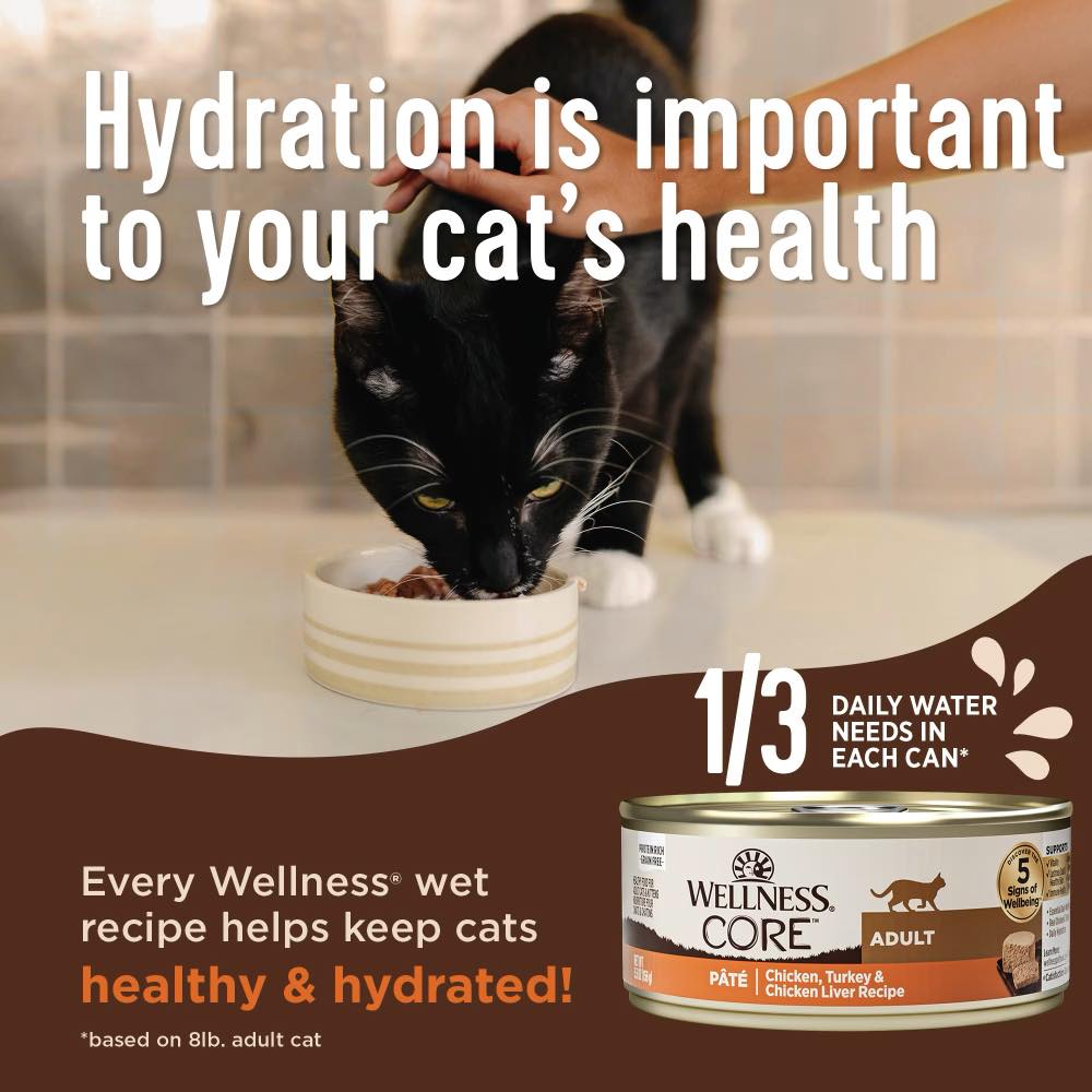 Wellness Core+ Digestive Health Chicken Pate Grain-Free Canned Cat Food 85g